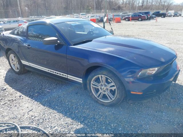 FORD MUSTANG 2011 1zvbp8amxb5119083