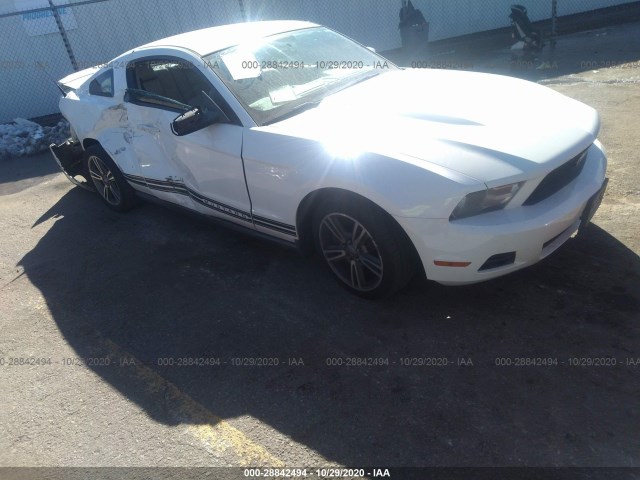 FORD MUSTANG 2011 1zvbp8amxb5120279