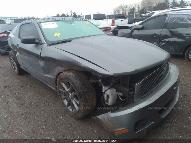 FORD MUSTANG 2011 1zvbp8amxb5125482