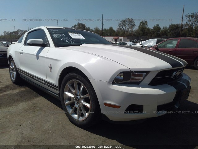 FORD MUSTANG 2011 1zvbp8amxb5125868