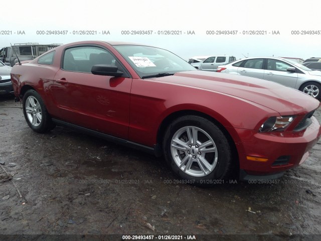 FORD MUSTANG 2011 1zvbp8amxb5128611