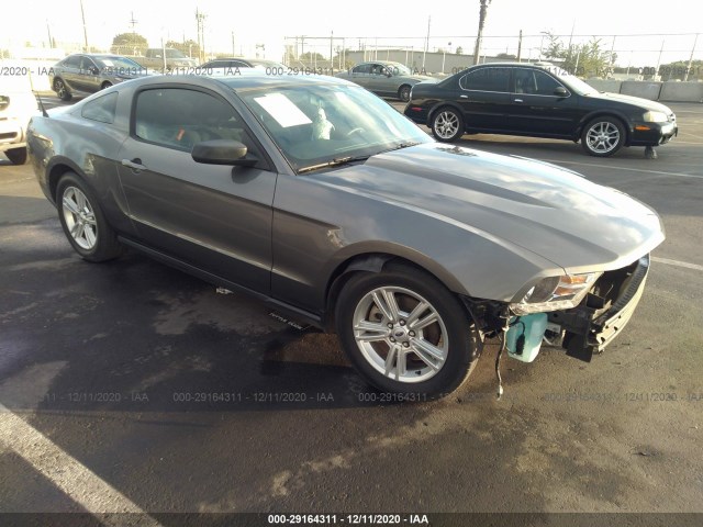 FORD MUSTANG 2011 1zvbp8amxb5128902