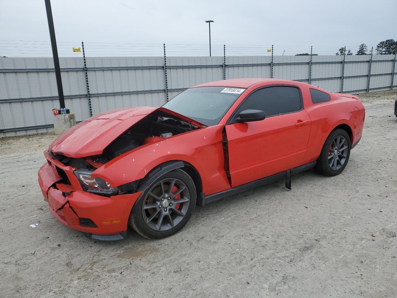 FORD MUSTANG 2011 1zvbp8amxb5130049