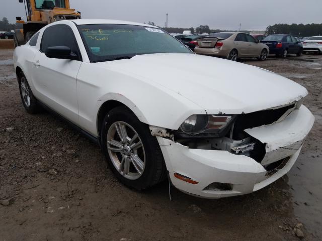 FORD MUSTANG 2011 1zvbp8amxb5131315