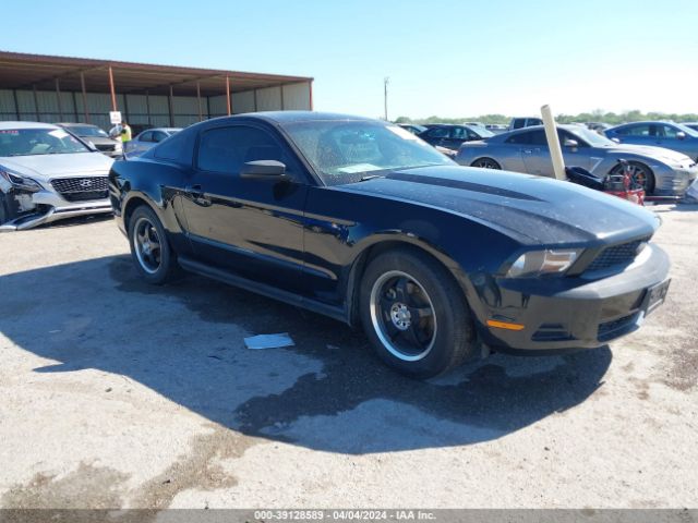 FORD MUSTANG 2011 1zvbp8amxb5134473