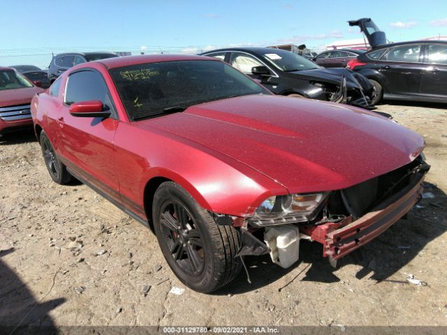 FORD MUSTANG 2011 1zvbp8amxb5135509