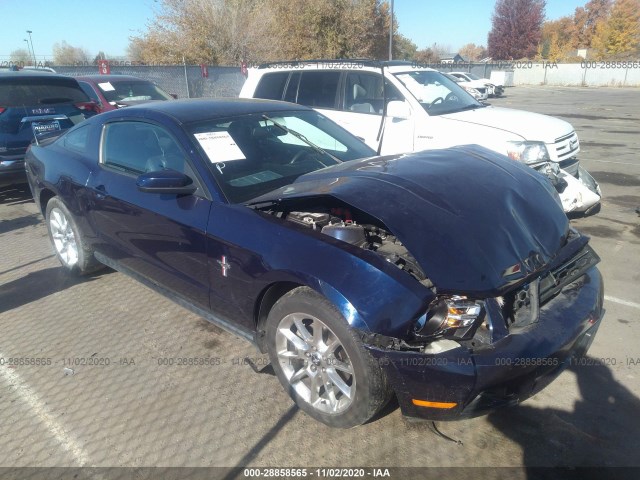 FORD MUSTANG 2011 1zvbp8amxb5136952