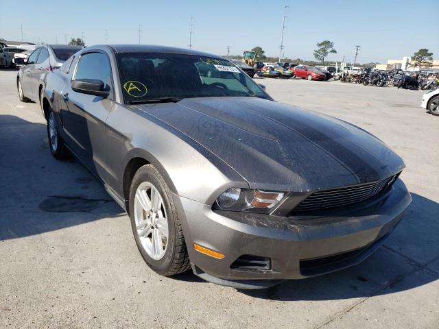 FORD MUSTANG 2011 1zvbp8amxb5138491