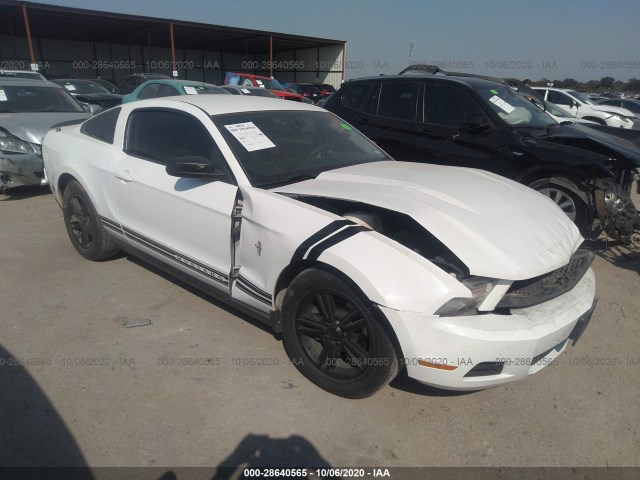 FORD MUSTANG 2011 1zvbp8amxb5138782