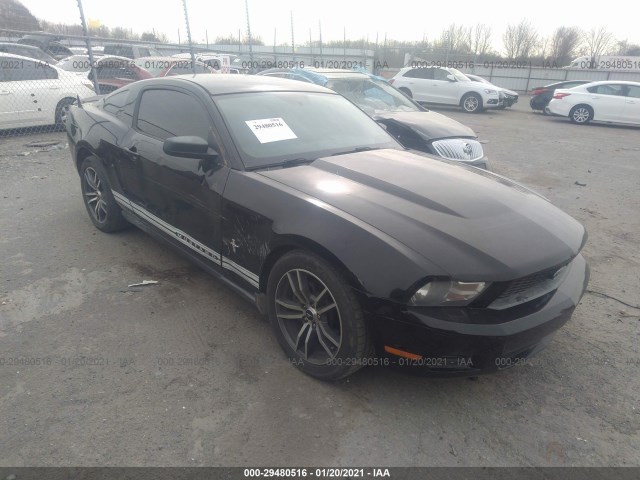 FORD MUSTANG 2011 1zvbp8amxb5140788