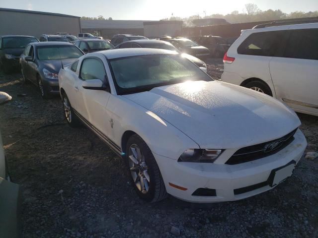 FORD MUSTANG 2011 1zvbp8amxb5142489