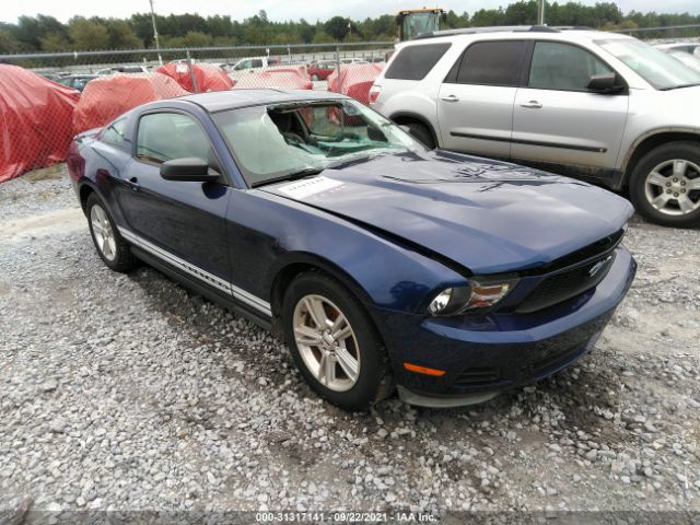 FORD MUSTANG 2011 1zvbp8amxb5143772