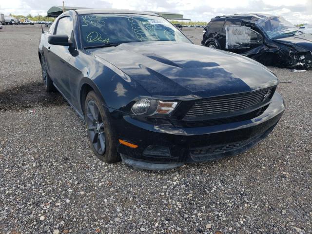 FORD MUSTANG 2011 1zvbp8amxb5145506