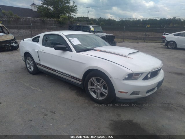 FORD MUSTANG 2011 1zvbp8amxb5147384