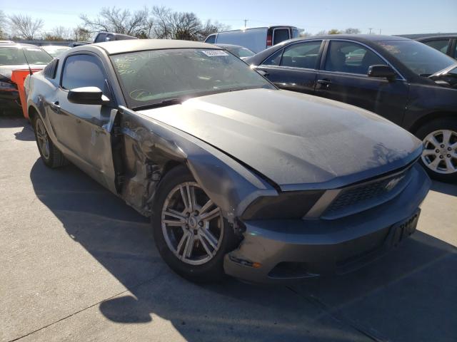 FORD MUSTANG 2011 1zvbp8amxb5149684