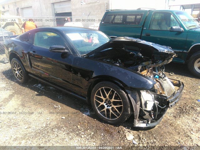 FORD MUSTANG 2011 1zvbp8amxb5150897