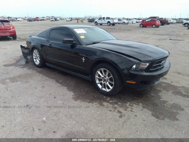 FORD MUSTANG 2011 1zvbp8amxb5151922