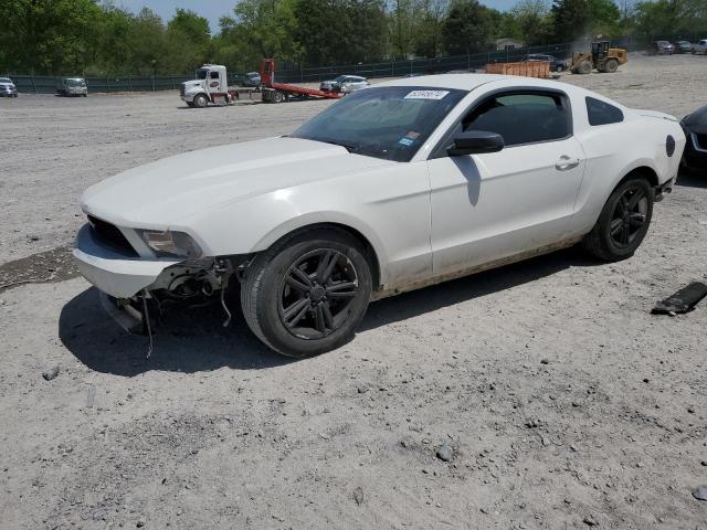 FORD MUSTANG 2011 1zvbp8amxb5152892