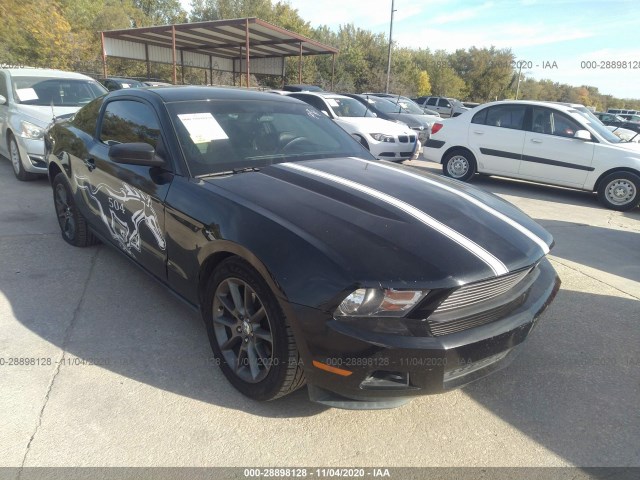 FORD MUSTANG 2011 1zvbp8amxb5153718