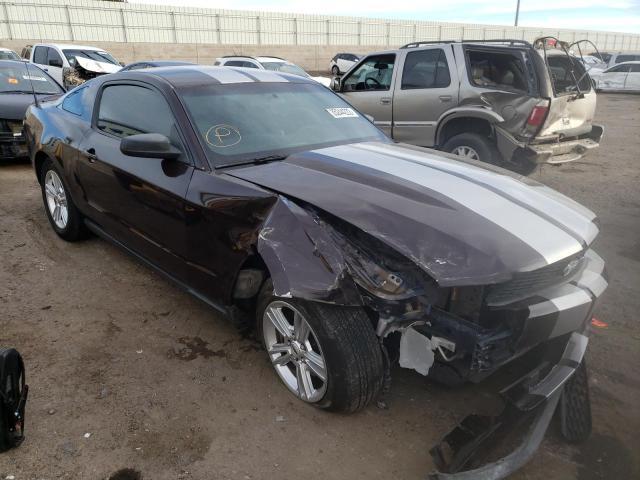 FORD MUSTANG 2011 1zvbp8amxb5153749