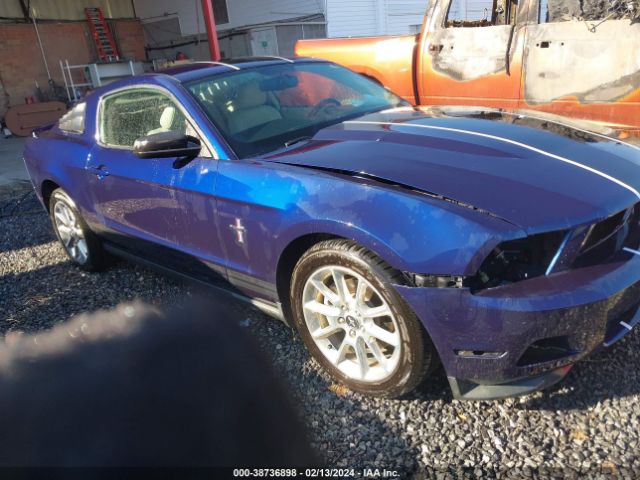 FORD MUSTANG 2011 1zvbp8amxb5155517