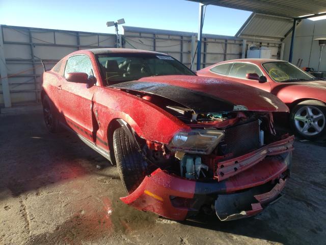 FORD MUSTANG 2011 1zvbp8amxb5158725