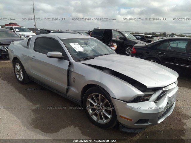 FORD MUSTANG 2011 1zvbp8amxb5162855