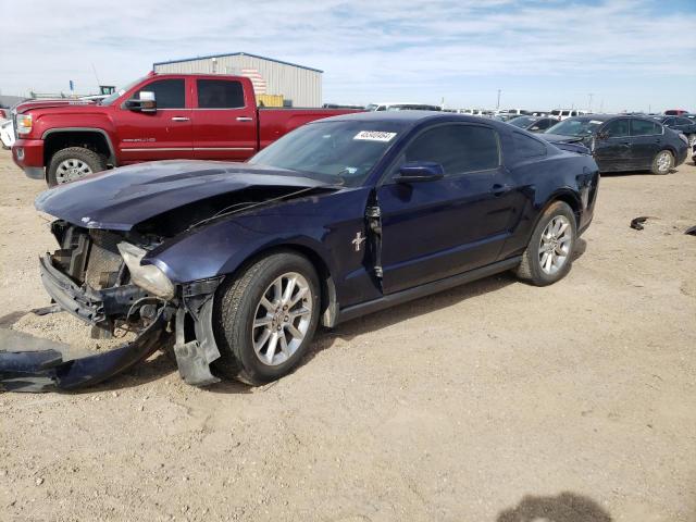 FORD MUSTANG 2011 1zvbp8amxb5162970