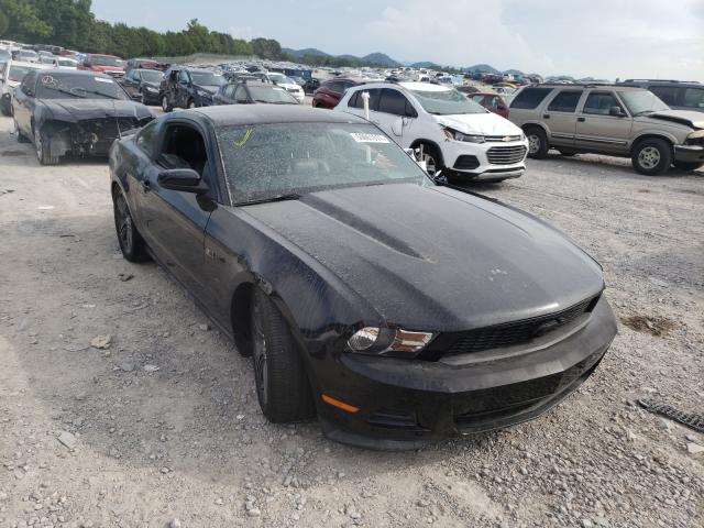 FORD MUSTANG 2011 1zvbp8amxb5164198