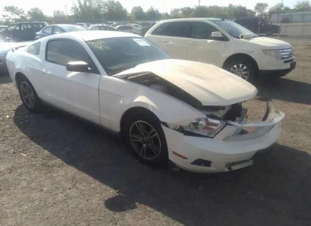 FORD MUSTANG 2011 1zvbp8amxb5166131