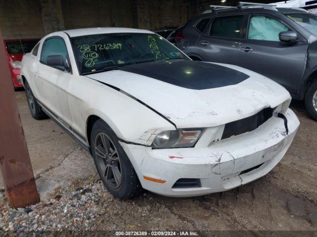 FORD MUSTANG 2011 1zvbp8amxb5166193