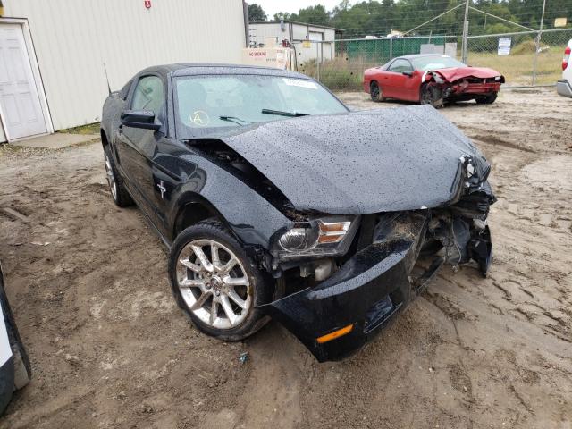 FORD MUSTANG 2011 1zvbp8amxb5167151