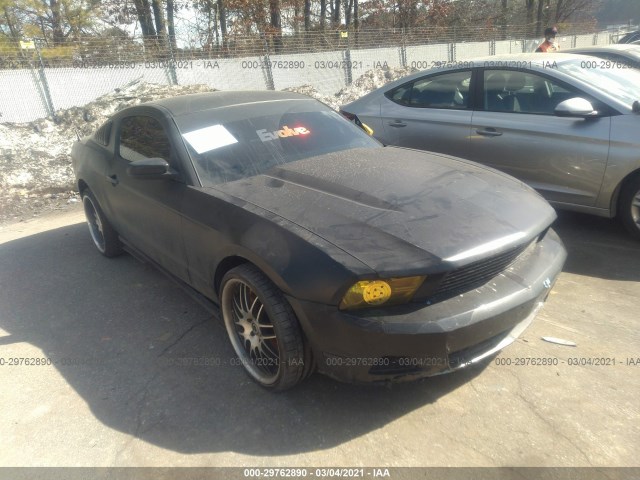 FORD MUSTANG 2011 1zvbp8amxb5167201