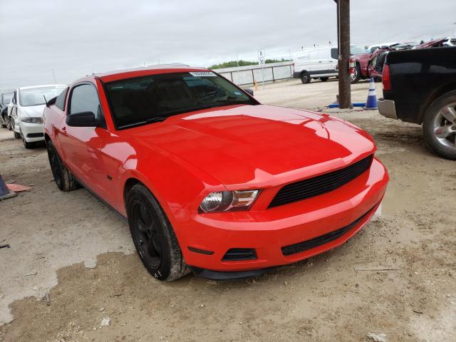 FORD MUSTANG 2011 1zvbp8amxb5167246