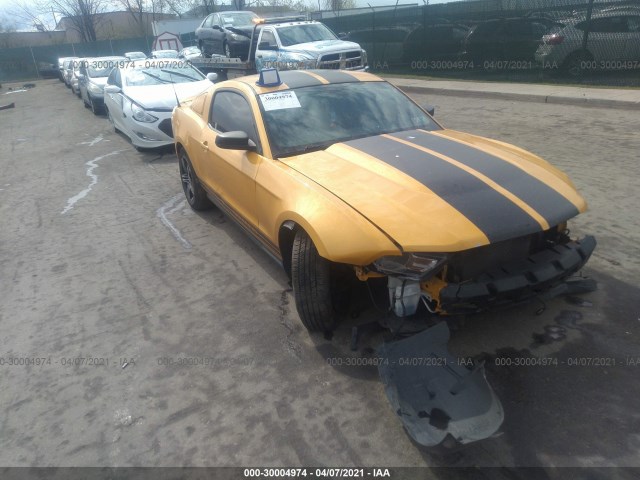 FORD MUSTANG 2011 1zvbp8amxb5167506