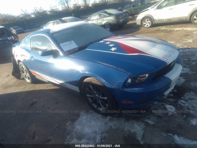 FORD MUSTANG 2011 1zvbp8amxb5168431