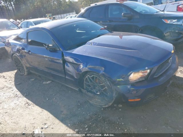 FORD MUSTANG 2011 1zvbp8amxb5168736