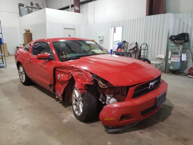 FORD MUSTANG 2011 1zvbp8amxb5168946