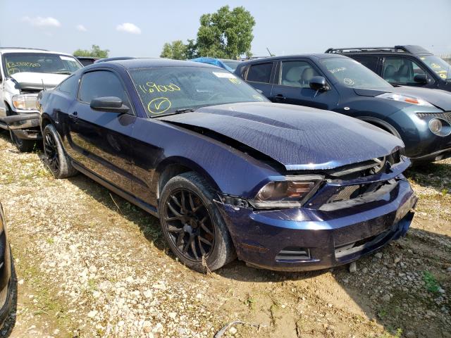 FORD MUSTANG 2011 1zvbp8amxb5169000