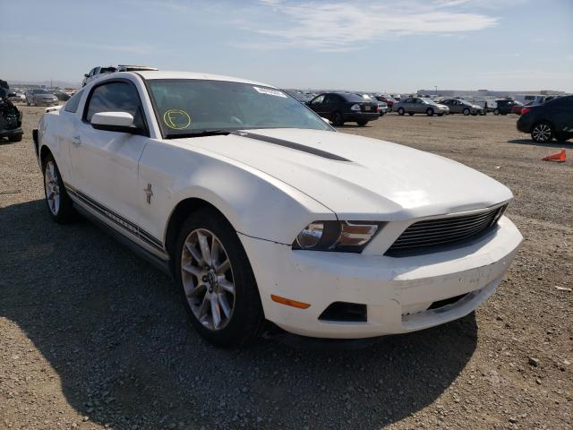 FORD MUSTANG 2011 1zvbp8amxb5169496