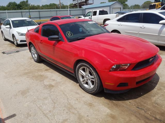 FORD MUSTANG 2011 1zvbp8amxb5169708