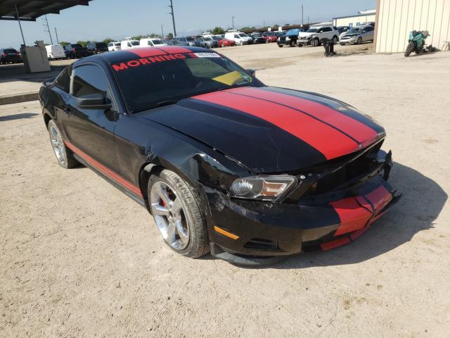 FORD MUSTANG 2012 1zvbp8amxc5200991