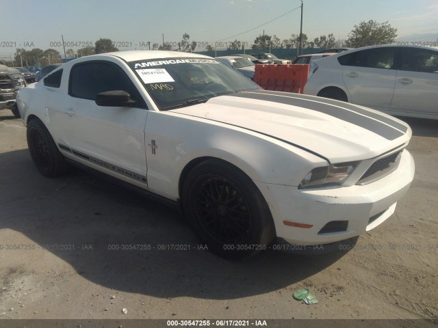 FORD MUSTANG 2012 1zvbp8amxc5205401