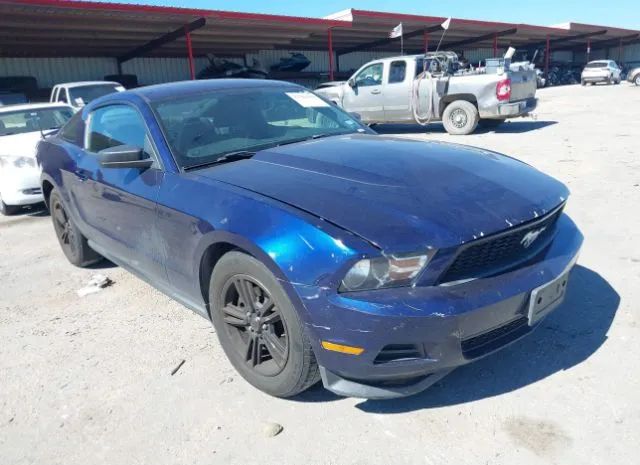 FORD MUSTANG 2012 1zvbp8amxc5210615