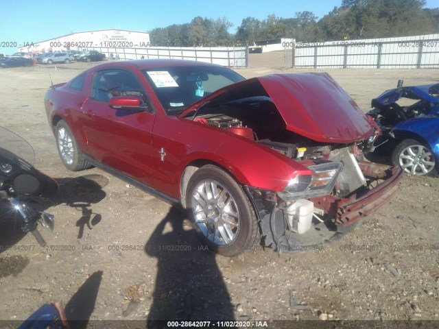 FORD MUSTANG 2012 1zvbp8amxc5213711