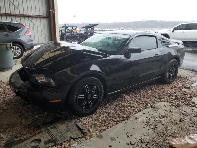 FORD MUSTANG 2012 1zvbp8amxc5218374