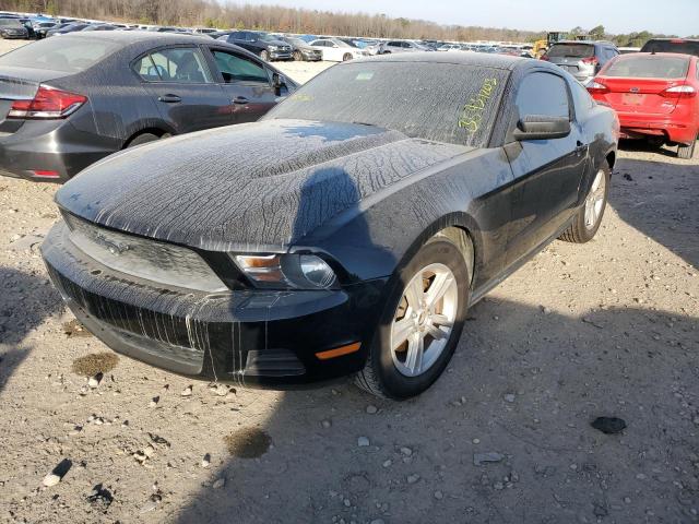 FORD MUSTANG 2012 1zvbp8amxc5249351