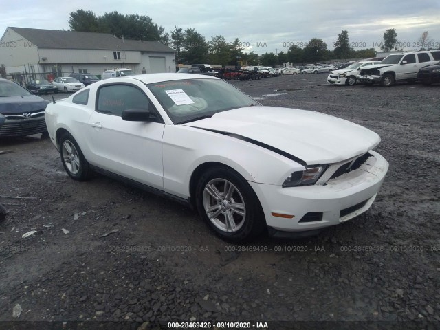 FORD MUSTANG 2012 1zvbp8amxc5258132