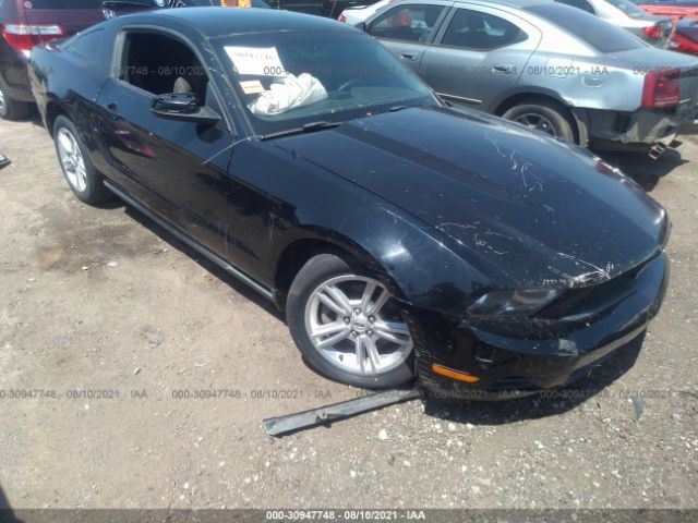 FORD MUSTANG 2012 1zvbp8amxc5258955