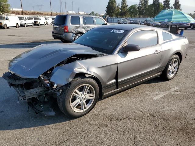 FORD MUSTANG 2012 1zvbp8amxc5262228